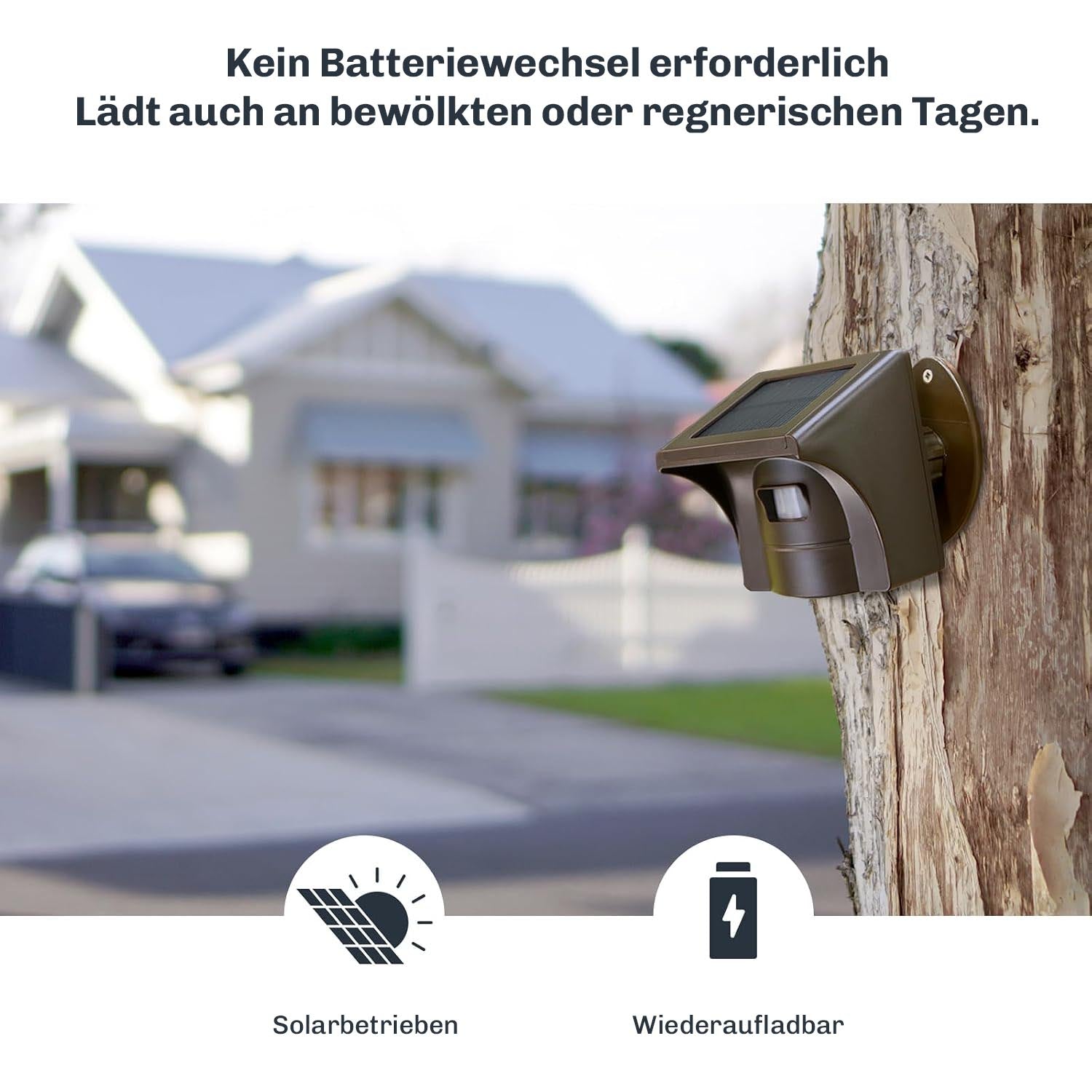 Der Sensor an einem Baum montiert, mit Hinweis auf Solarladung ohne Batteriewechsel auch bei bewölktem Wetter.